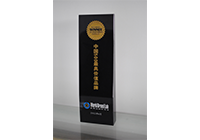  China��s 500 Most Valuable Brands Certificate