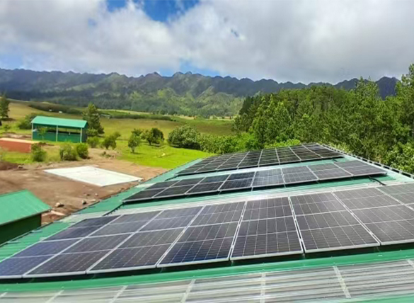 �������������ǡ����+����+�񷢡�΢����ϵͳ